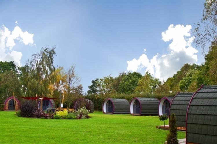 Belle Vista Glamping & Camping Йорк Екстер'єр фото